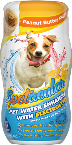 DOG VITAMIN WATER WITH ELECTROLYTES • PEANUT BUTTER • SINGLE BOTTLE