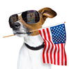 Keep Your Dog Stress-Free This Fourth Of July!