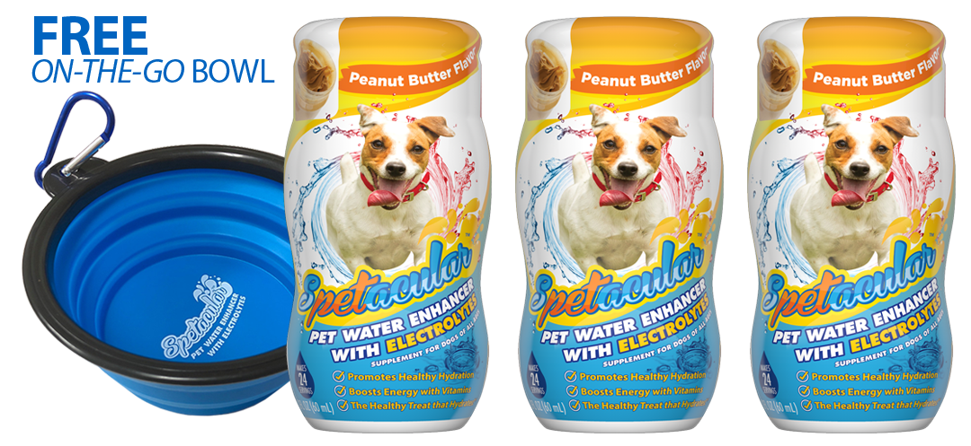 DOG VITAMIN WATER WITH ELECTROLYTES - 3 PACKS - GET FREE BOWL - FREE SHIPPING!