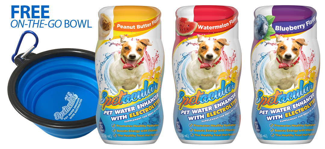 DOG VITAMIN WATER WITH ELECTROLYTES - 3 PACKS - GET FREE BOWL - FREE SHIPPING!