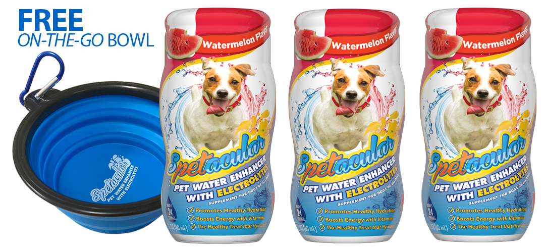 DOG VITAMIN WATER WITH ELECTROLYTES - 3 PACKS - GET FREE BOWL - FREE SHIPPING!