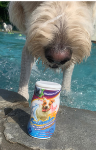 DOG VITAMIN WATER WITH ELECTROLYTES • BLUEBERRY• SINGLE BOTTLE
