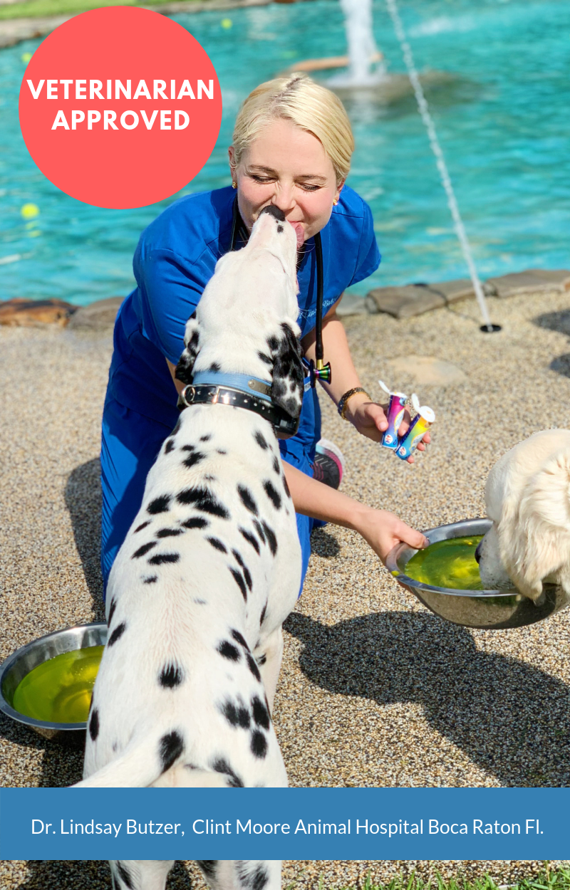 DOG VITAMIN WATER WITH ELECTROLYTES • BLUEBERRY• SINGLE BOTTLE