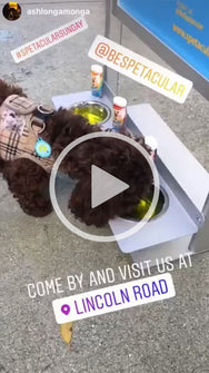 <iframe width="560" height="315" src="https://www.youtube.com/embed/T1wUEmYb9DQ?rel=0" frameborder="0" allow="accelerometer; autoplay; encrypted-media; gyroscope; picture-in-picture" allowfullscreen></iframe>