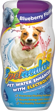 DOG VITAMIN WATER WITH ELECTROLYTES • BLUEBERRY• SINGLE BOTTLE