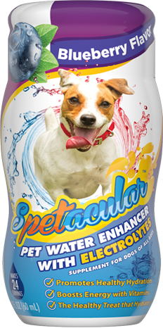 DOG VITAMIN WATER WITH ELECTROLYTES • BLUEBERRY• SINGLE BOTTLE