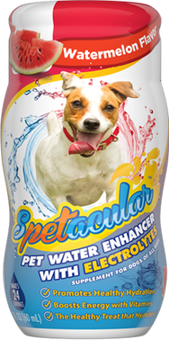 DOG VITAMIN WATER WITH ELECTROLYTES • WATERMELON FLAVOR • SINGLE BOTTLE