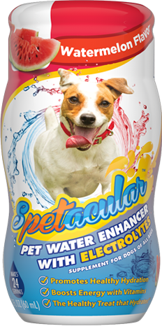 Vitamin water 2025 for dogs