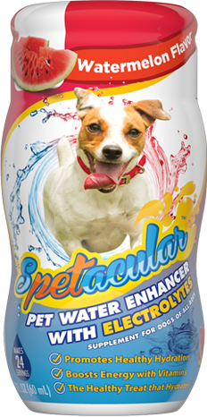 DOG VITAMIN WATER WITH ELECTROLYTES • WATERMELON FLAVOR • SINGLE BOTTLE